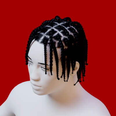 Medium Two Strand Twists