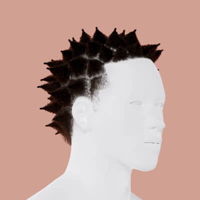 Afro Twist Hairstyle