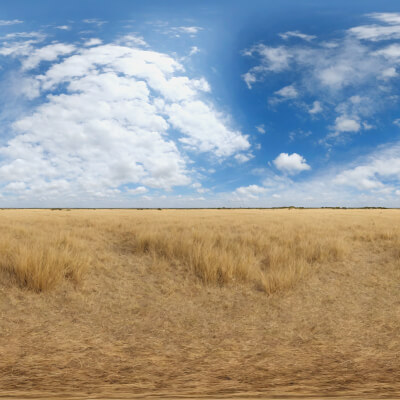 50 HDRI Savanna Skyboxes