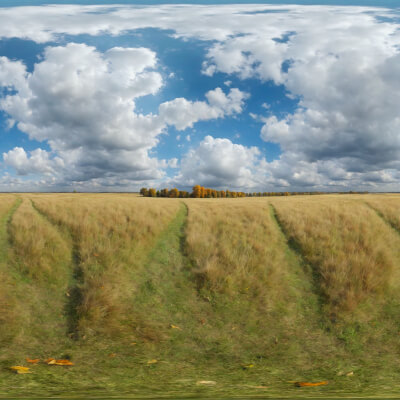 53 HDRI Grasslands Skyboxes