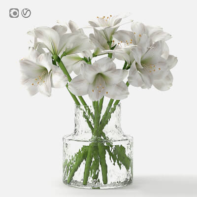 Bouquet of White Hippeastrum by kabten-mimo2024