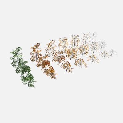 Birch Shrubs Pack by kambur