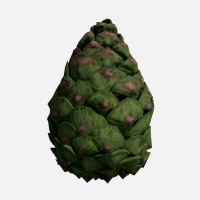 Green Pine Cone