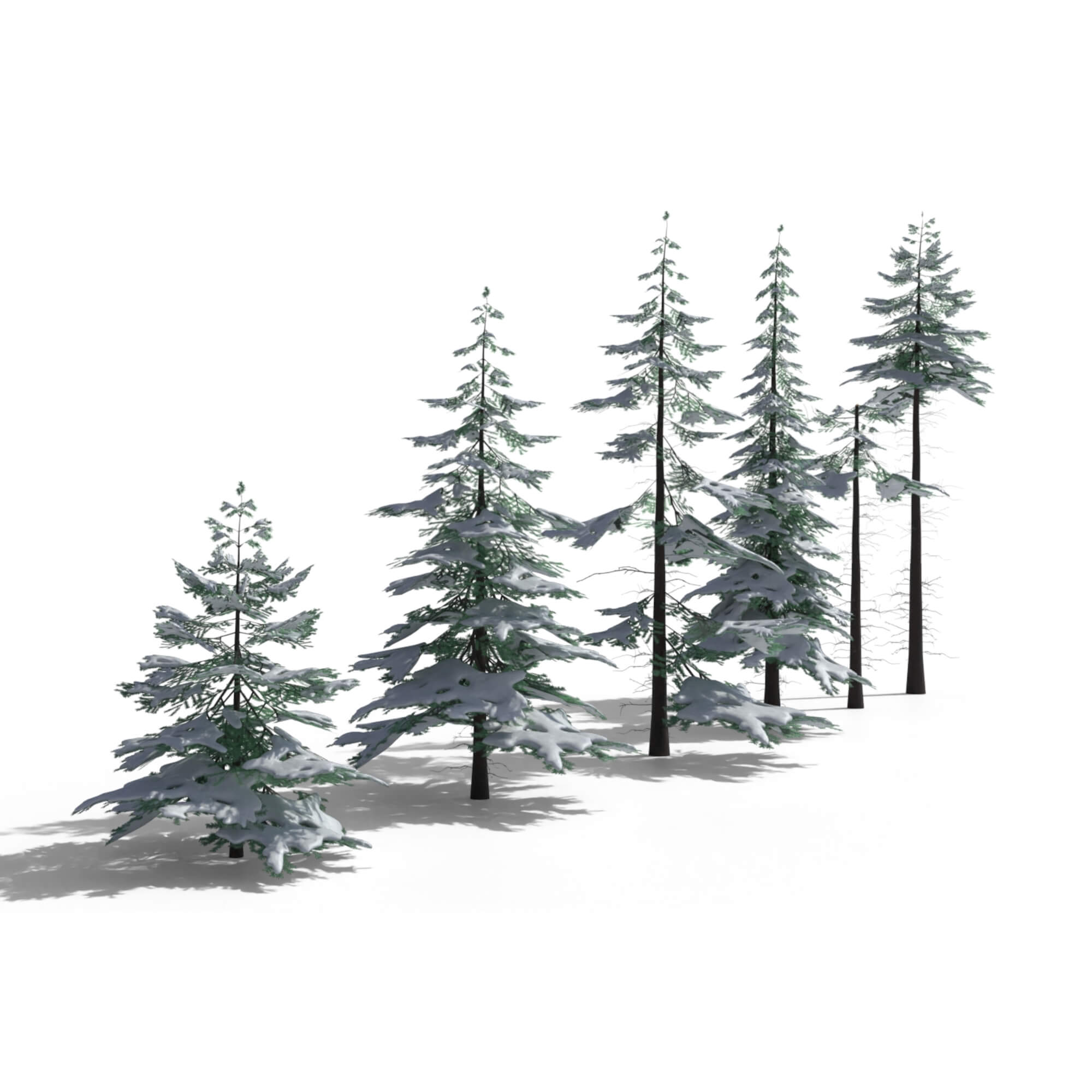 Low Poly Snowy Spruce Tree Pack - 3D Model by kambur