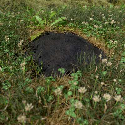 Mole Mound