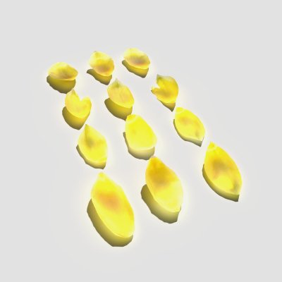 Tulip Petals