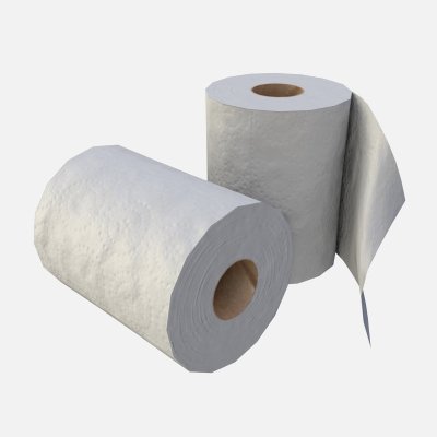 Toilet Paper Rolls