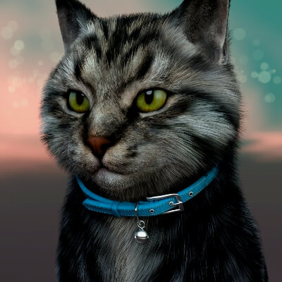 Leather Collar With Bell for Cat Mars