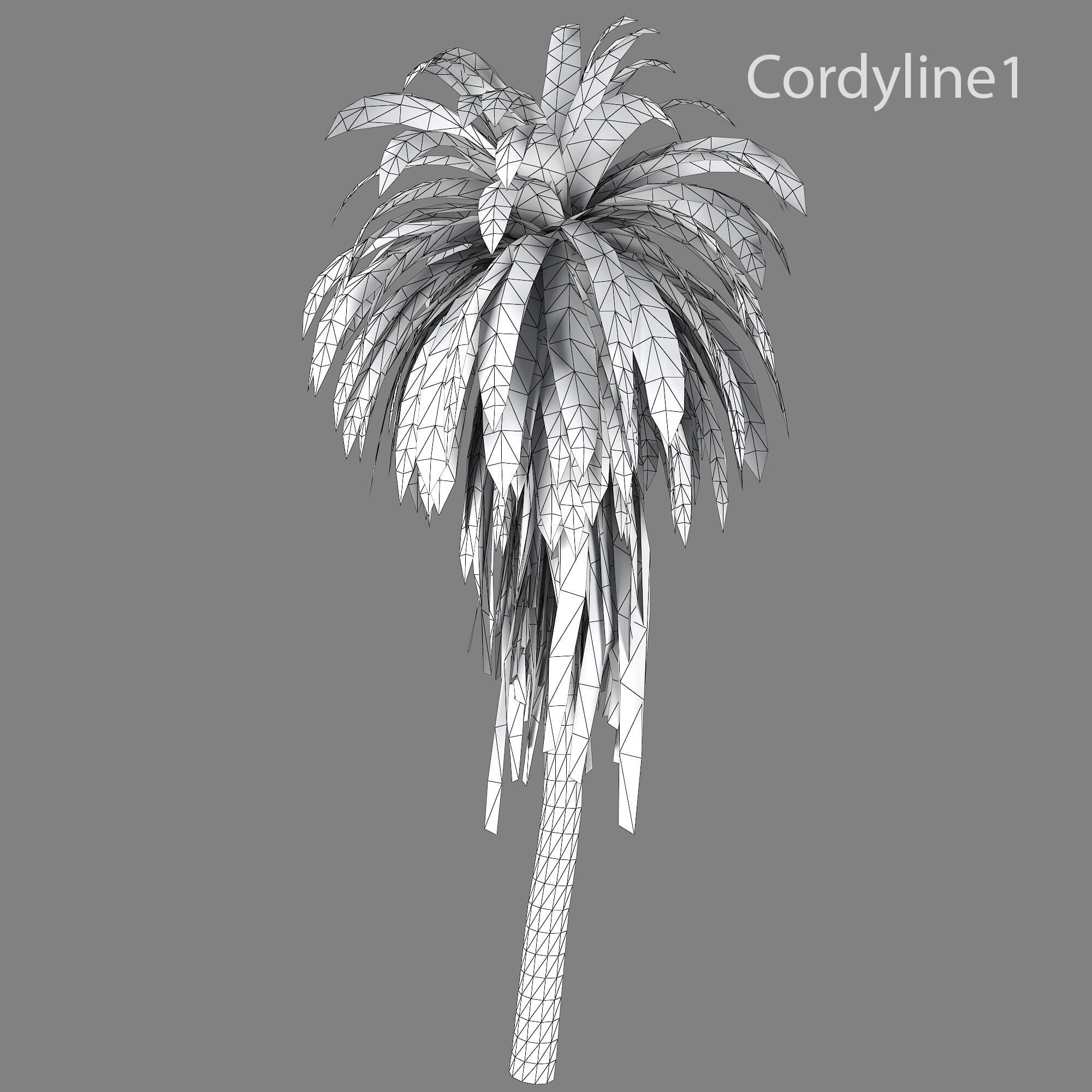 Cordyline Indivisa 3D Model by KaterynaBondarenko