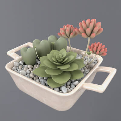 Flower in a Pot