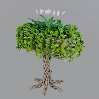 Flowerbed of Wood