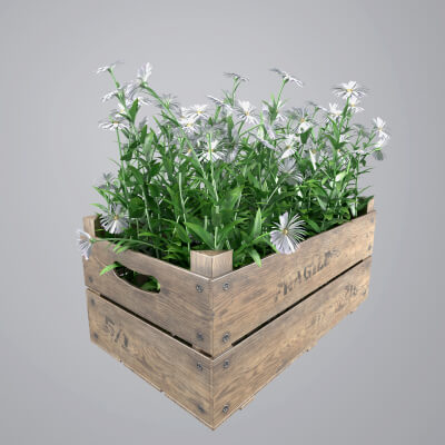 Old Wooden Box With Flower