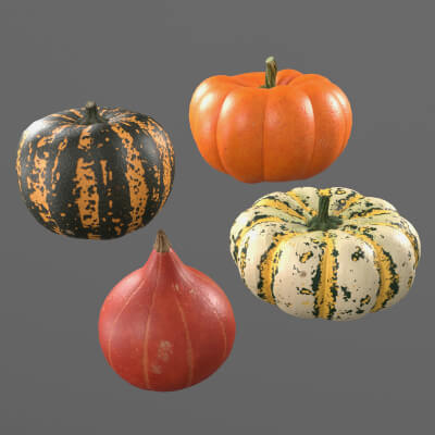 Four varieties of pumpkin gourds