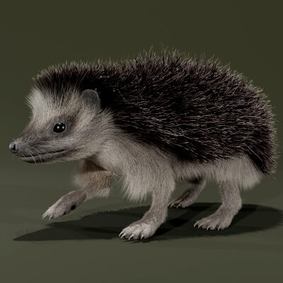Realistic Animated Hedgehog