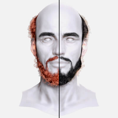 Bald Hairstyle Beard Combo - Premium 3D Asset