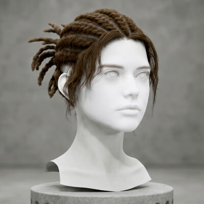 Braided Cornrows with Dreadlock Bun Realistic Hair Cards - 3D Model by ...