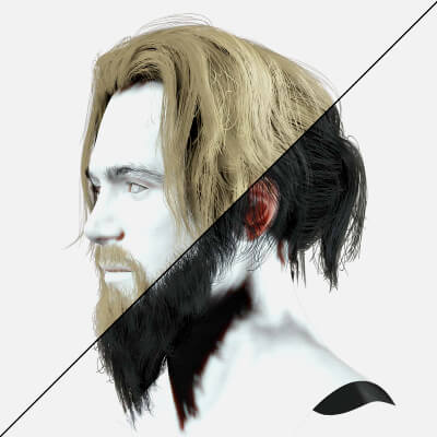 Chinese Male Hair - Ponytail Style