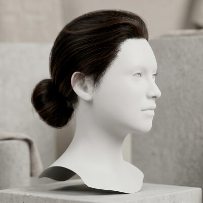 Classic Low Bun Hair Cards for Metahuman Compatible