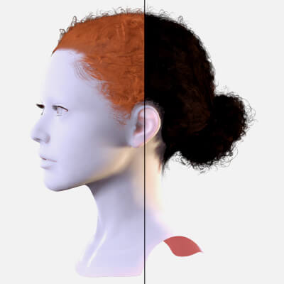 Curly Bun Hairstyle Realistic Game Ready 3D Hair