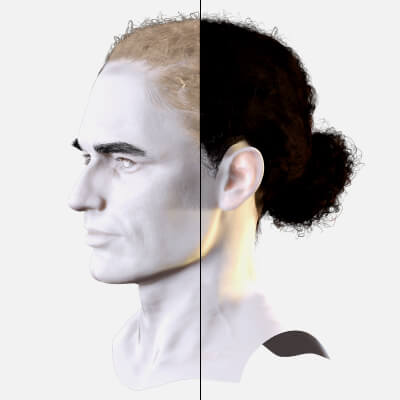 Curly Low Man Bun - Realistic Male 3D Hair Model