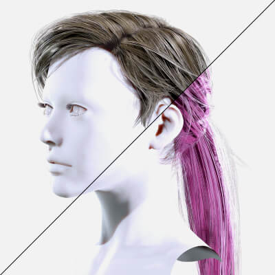 Examiner Ponytail Hair
