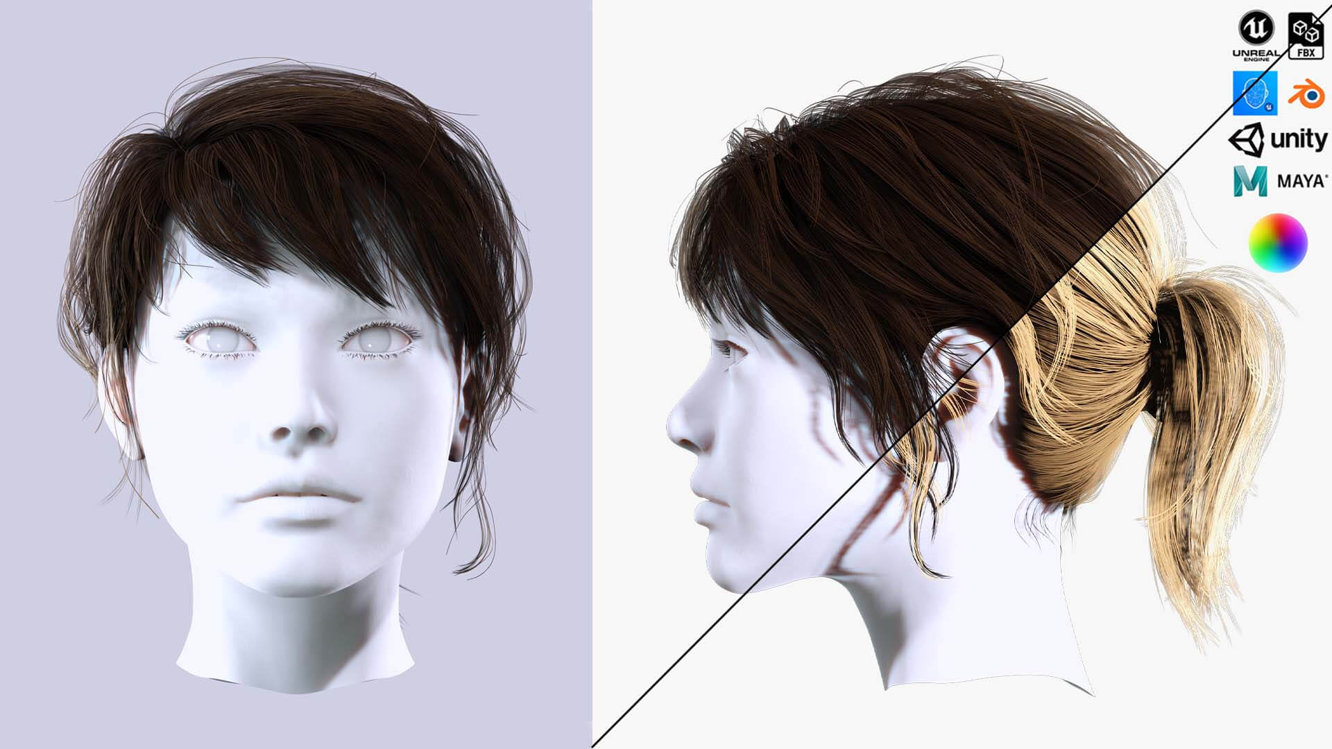 Female Ponytail Hairstyle - 3D Model by khaloui