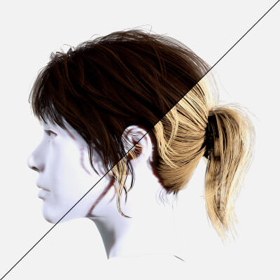 Female Ponytail Hairstyle