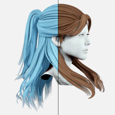 Half Up Ponytail Hair