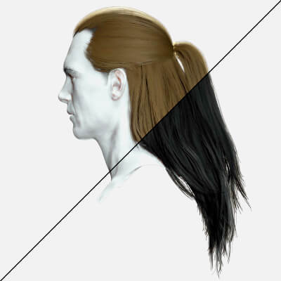 Long Male Hair - Ponytail Half Up