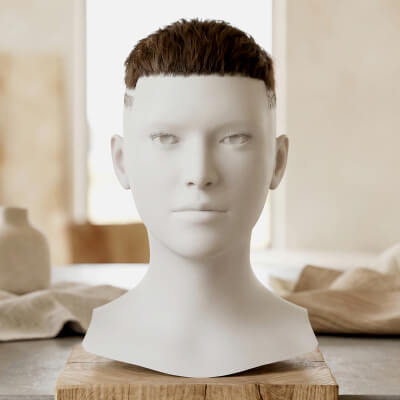 Male Buzz Cut Hair Cards Short Crop with Fade Metahuman