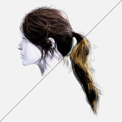 Ponytail Model Hair Cards