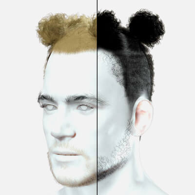 Realistic Afro Man Hair