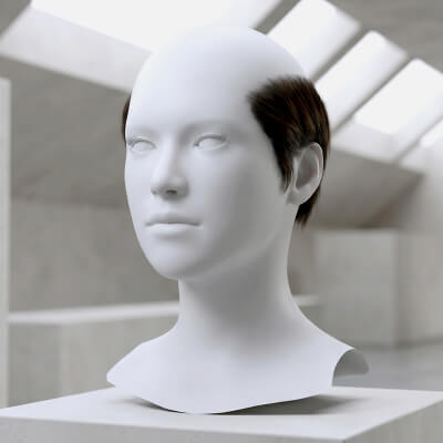Realistic Balding Male Hair Cards Classic Tonsure Metahuman