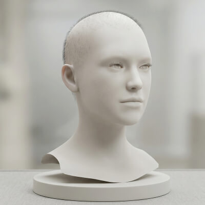 Realistic Buzzcut Hair Cards Shaved Low Poly Hairstyle