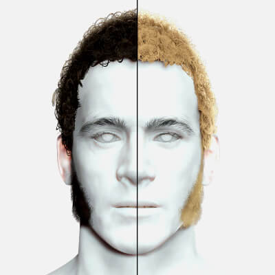 Realistic Curly Man Hair - Sideburns Beard