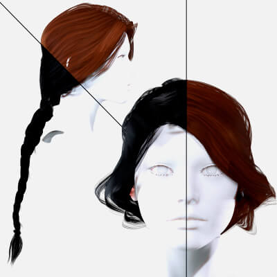 Female Braided Hair