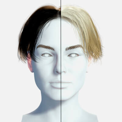 Female Hair 12