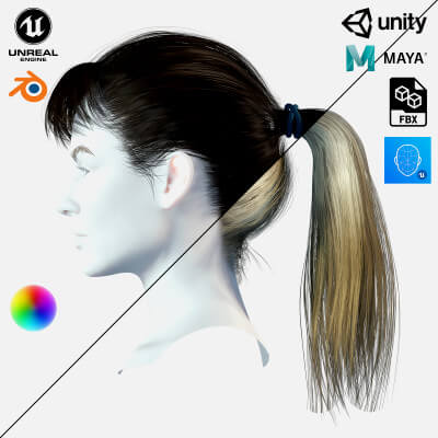 Female Hair 4