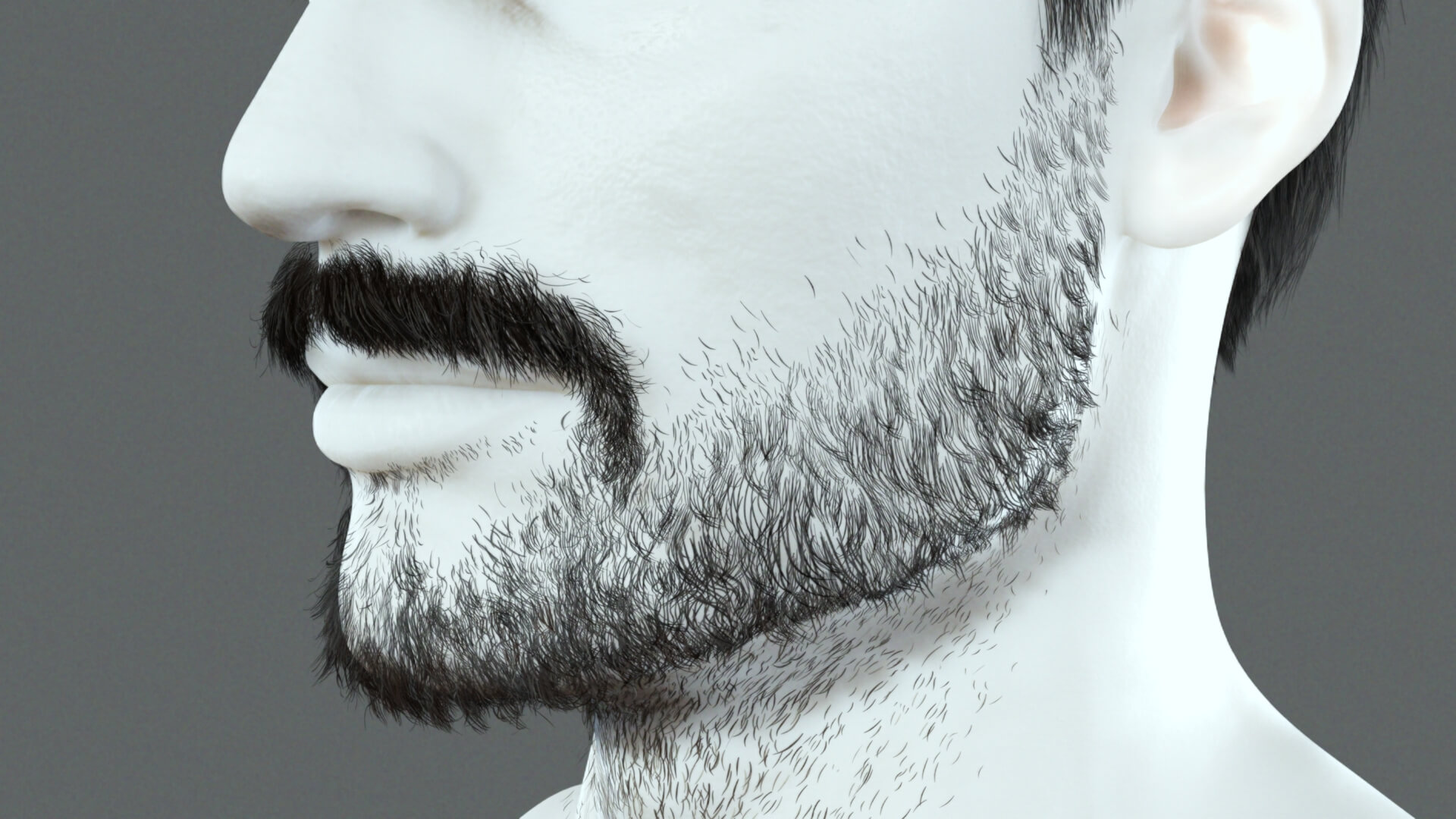 Mustache Rendered Realistic Realistic Hair Beard Brows Mustache P1 - 3D Model by khaloui