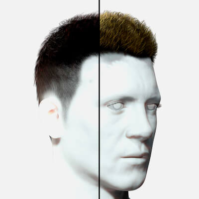 Hair Hawk