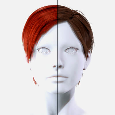 Short Hairstyle Female