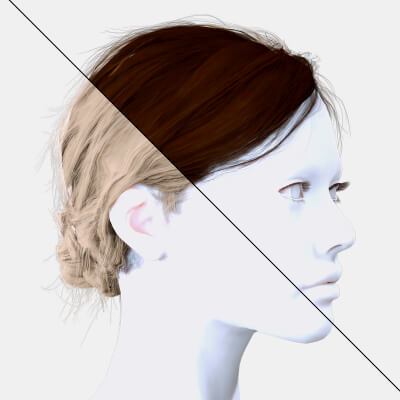 Woman Hair Style