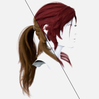 Woman Ponytail Long Hair Style