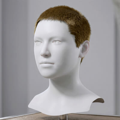 Short Buzz Cut Hair Cards metahuman Compatible