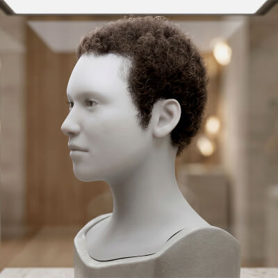 Short Curly Afro Hair Cards for MetaHuman Compatible