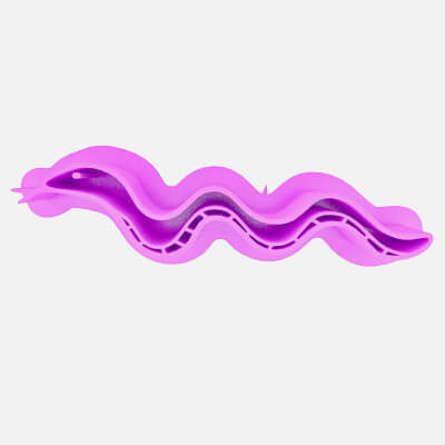 Cookie Cutter CCSP79