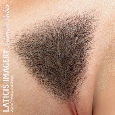 Li Intimate Pubes for Genesis 8/8.1 Females by Laticis