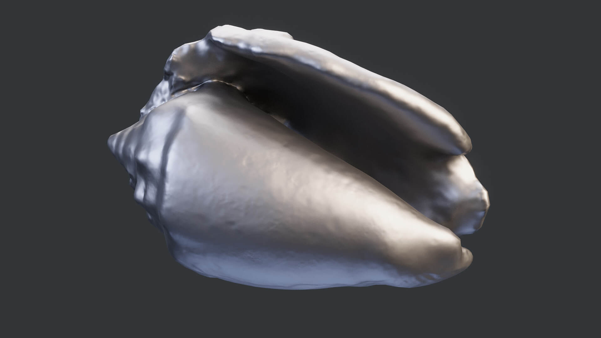 Xae Shell Small Seashell - 3D Model by lemonadeCG