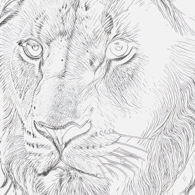 A Detailed Lion Portrait Sketch Reflecting Strength