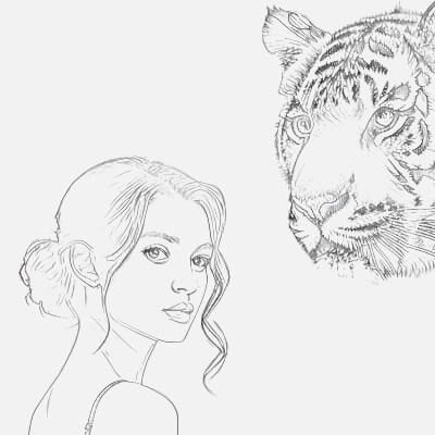 Elegant Sketch of a Beautiful Girl beside a Majestic Tiger